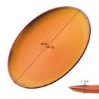Stainless Steel Dinner Plate