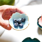 Japanese Style Ceramic Dish in Four Colors