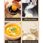Electric Milk Frother