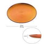 Stainless Steel Dinner Plate