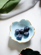 Japanese Style Ceramic Dish in Four Colors